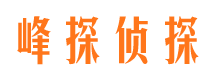 顺城外遇调查取证